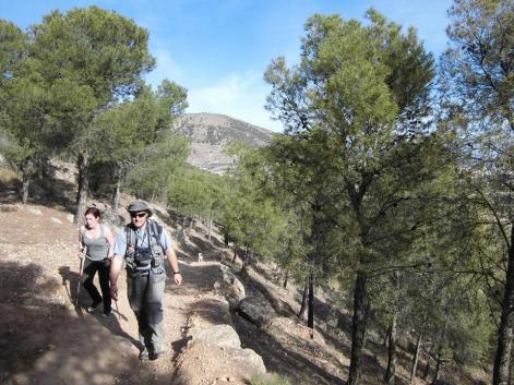 10157210_237222299815738_7787904115691078427_n