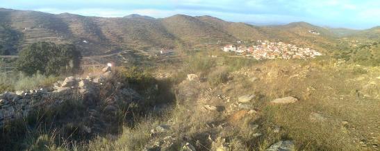 1291281_10203431988990021_2435186_o