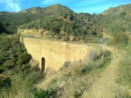 1797614_10203563601080241_3424300866203865322_n