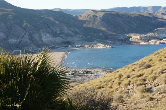 10264178_740862255936905_2943521631868660733_o