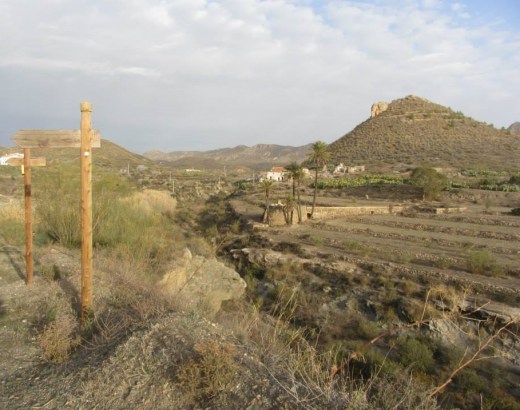 1797487_743439639001851_131034859_n